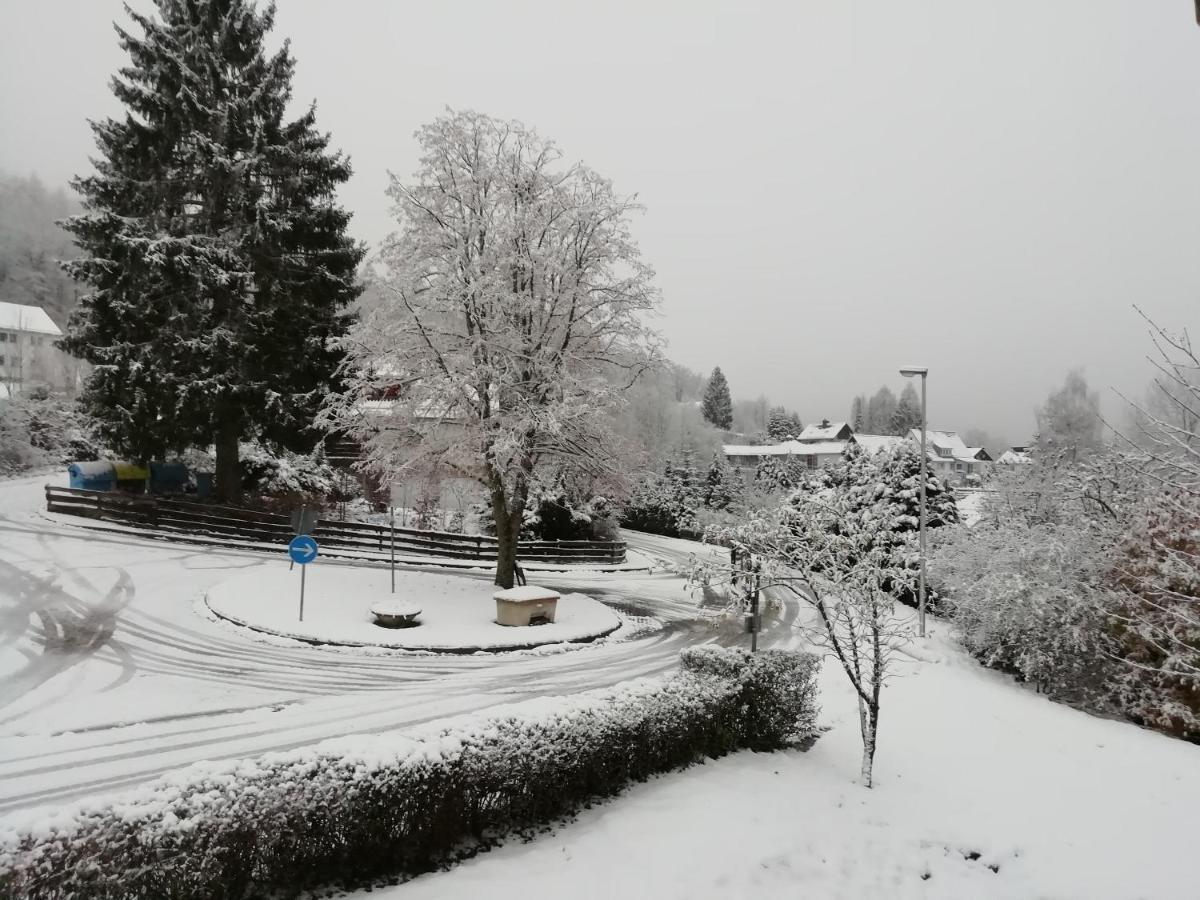 Schoene Aussicht Wieda Walkenried Buitenkant foto